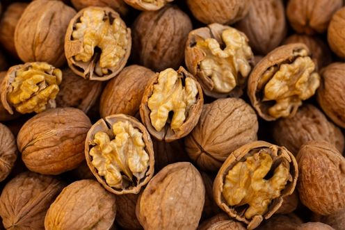 WALNUT SHELL